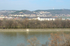 P1000572