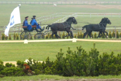 P1000593