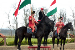 P1000612