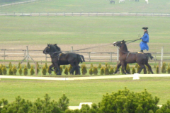 P1000613