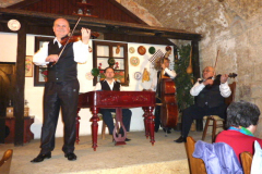 P1000639