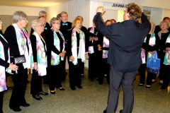 kuoro aula