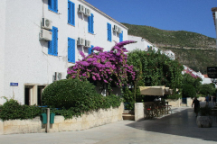 hotellialue2